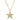 Pavé Star Necklace